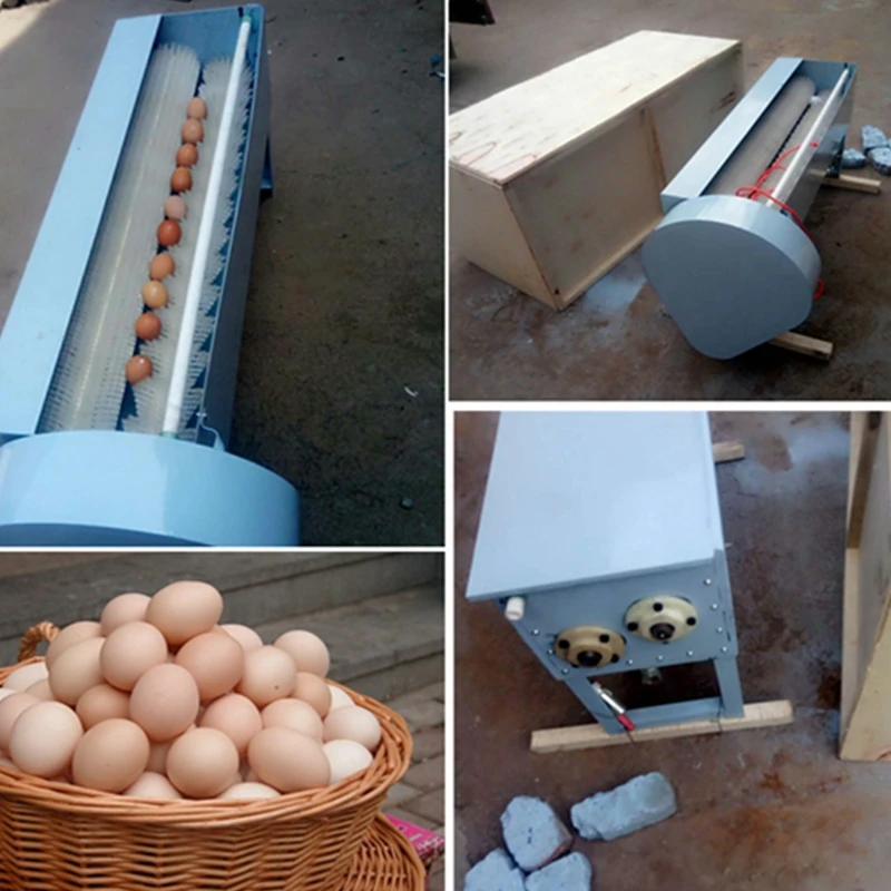 Goose Eggs Cleaning Machine Chicken Egg Washer Duck Egg Washing Equipment -  AliExpress