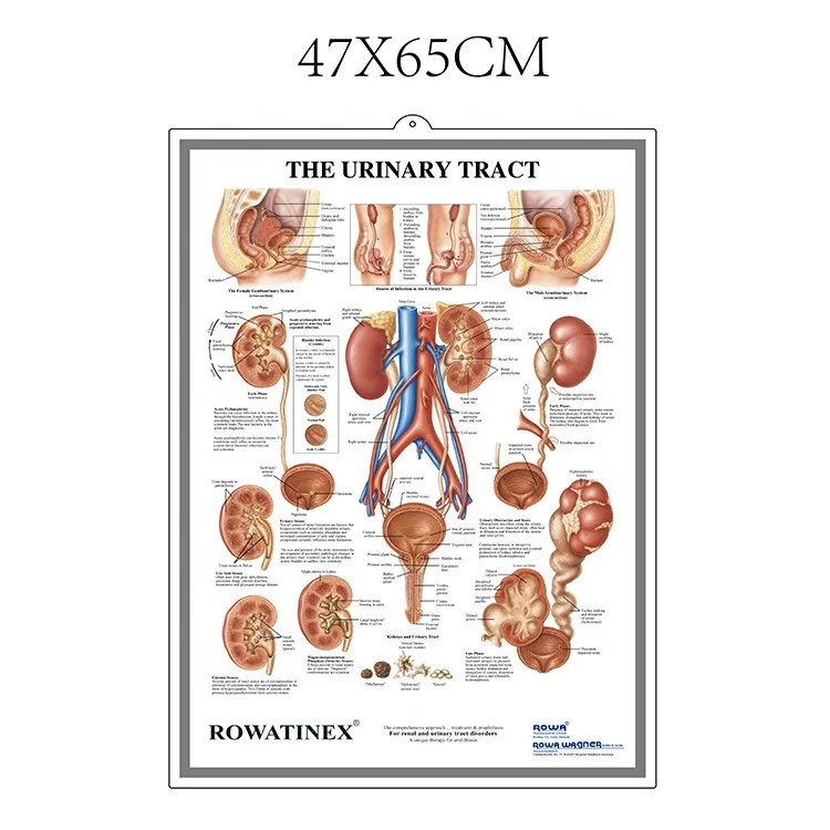Медицинская карта 3D тиснение глаз постер