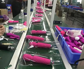 Shenzhen SAC Technology Co., Ltd. 1