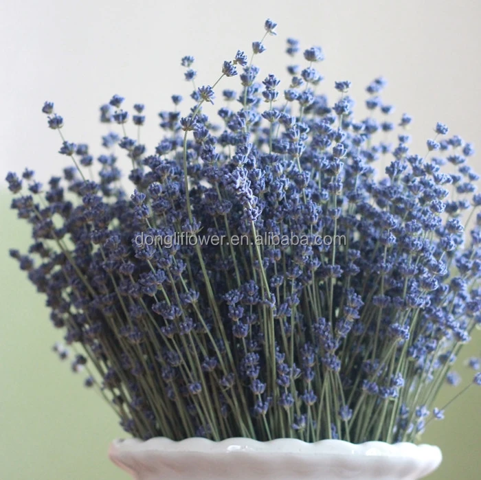 Céu Azul Profundo Roxo 2017 Flor De Lavanda Secas Naturais 35cm - Buy  Natural De Lavanda Secas,Secas Cachos De Lavanda,Azul Cachos De Lavanda  Product on 