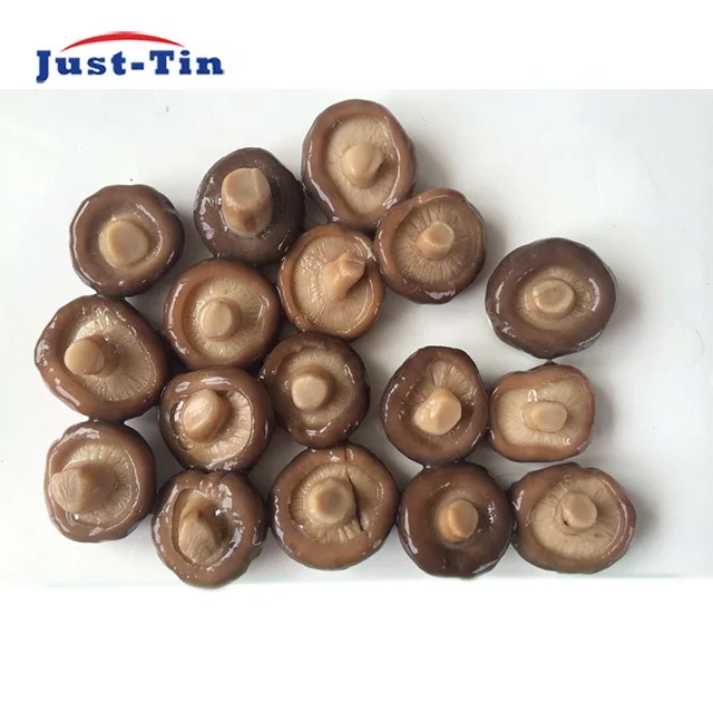 new crop shitake mushroom extract for sale 50kg a10 800g 400g