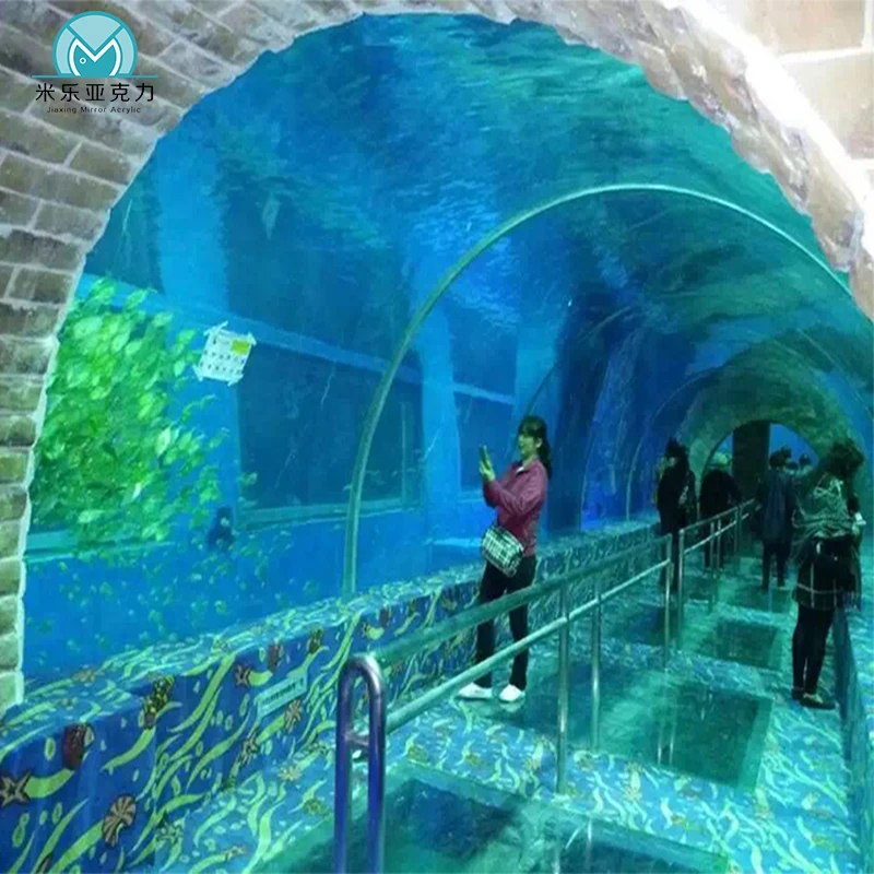 verre incurvé acrylique plexi lucite pour aquarium océanique - Yuejing  Acrylic