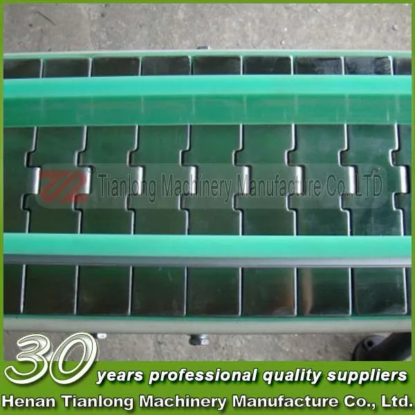 Tianlong OEM Service Chain Slat Conveyor for Silo
