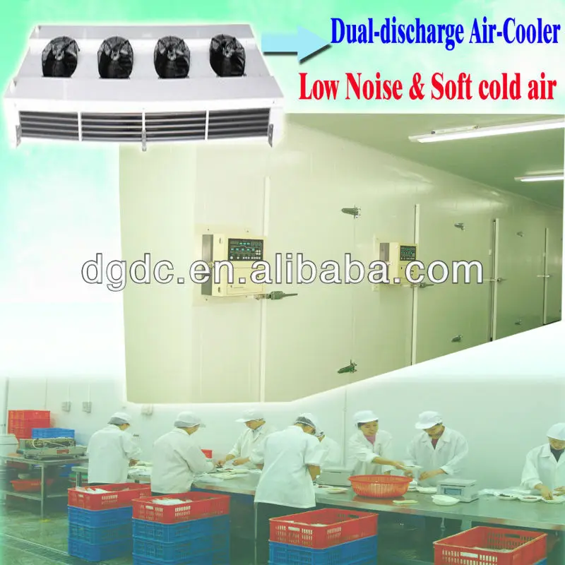Walk in Cold Room With Low Noise Design Onion Storage Warehouse