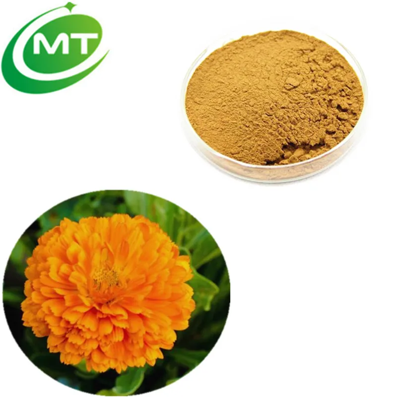 Calendula officinalis Flower extract