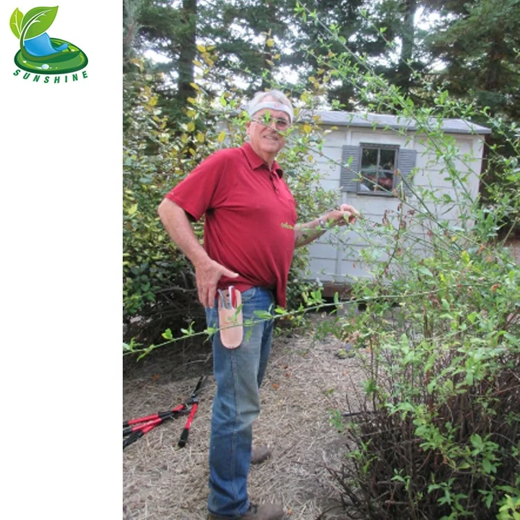 
 Солнечный свет профессиональный SK-5 из углеродистой стали садовые ножницы для обрезки с чехлы из кожи, в виде бумажника  