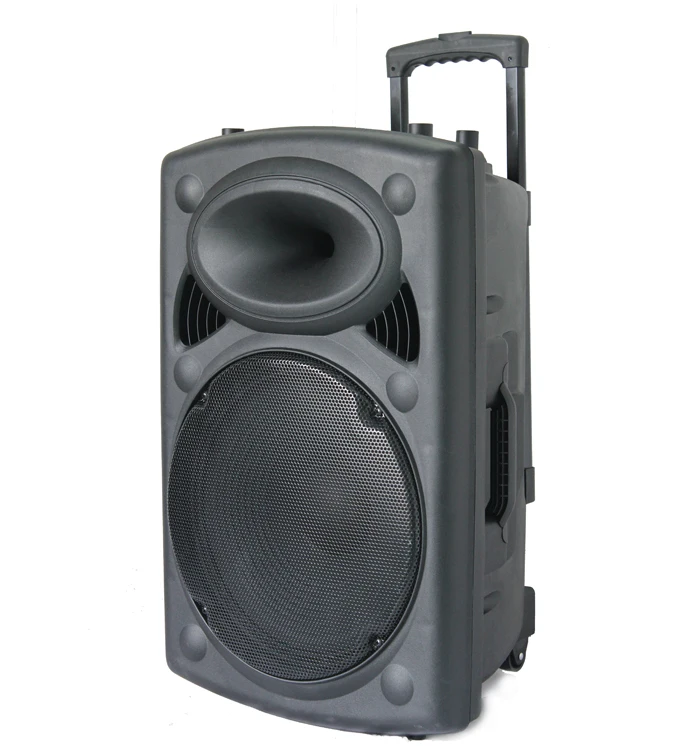 12 inch trolley speaker