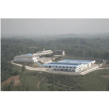 Suizhou Shennong Tea Co., Ltd. 3