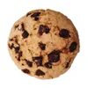 Brown biscuit