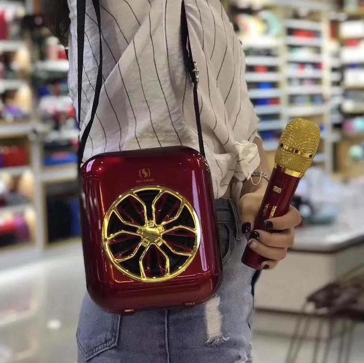 
 Открытый беспроводной портативный диктор караоке YS-A20 с поддержкой микрофона/BT/USB/TF-карта/Aux/FM  