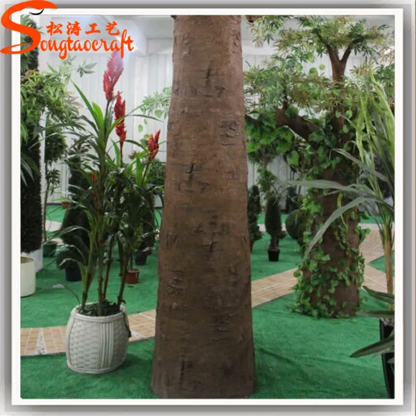 Welcomed by Foreign Large Live Ficus Tree Baobab Trees for Sale