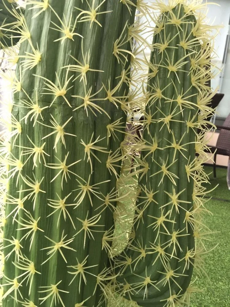 giant monstera plant Monstera Deliciosa