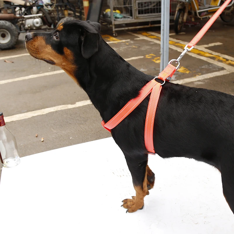 best sellingvr认证公司简介