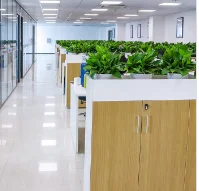 Shenzhen Talentcar Electronic Co., Ltd. 2