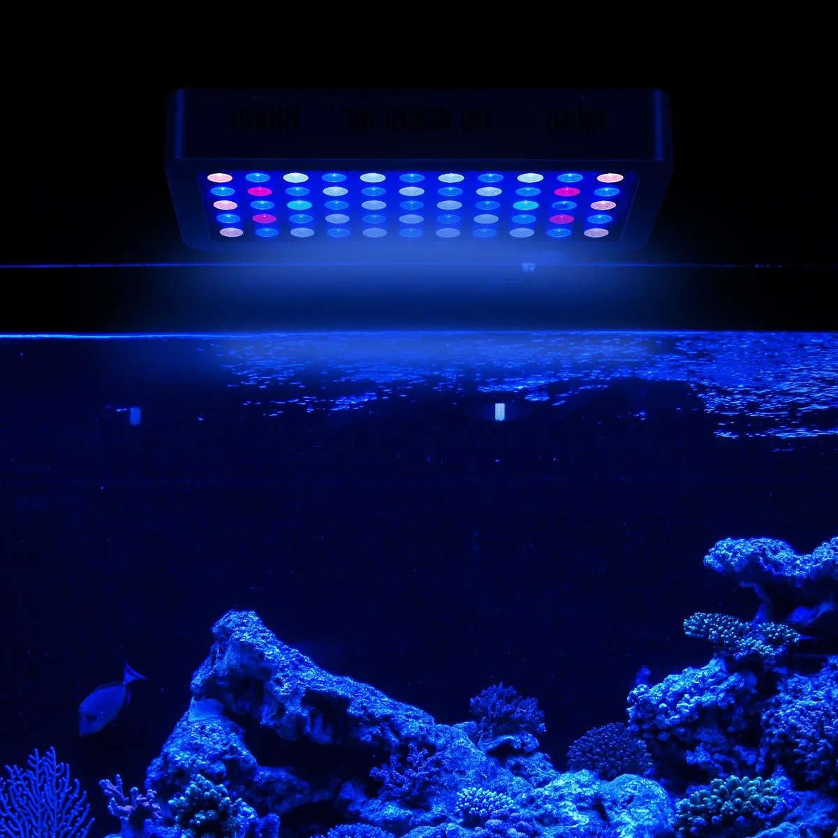 14000K White Blue Green UV Full Spectrum LED Aquarium Light