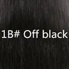 1B # Off colore nero