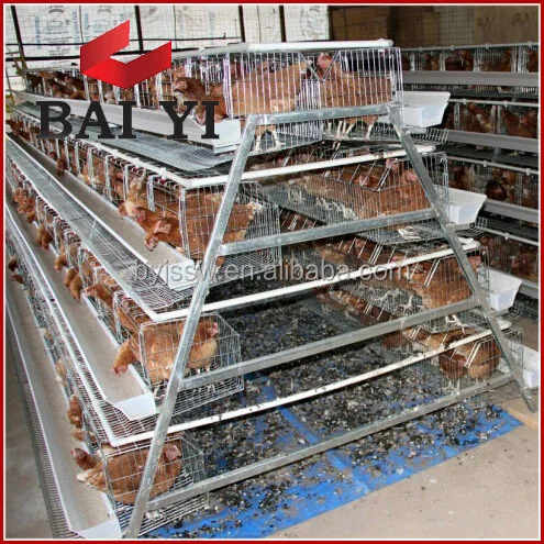 Discount Poultry House Design for Layers in Kenya Farm
