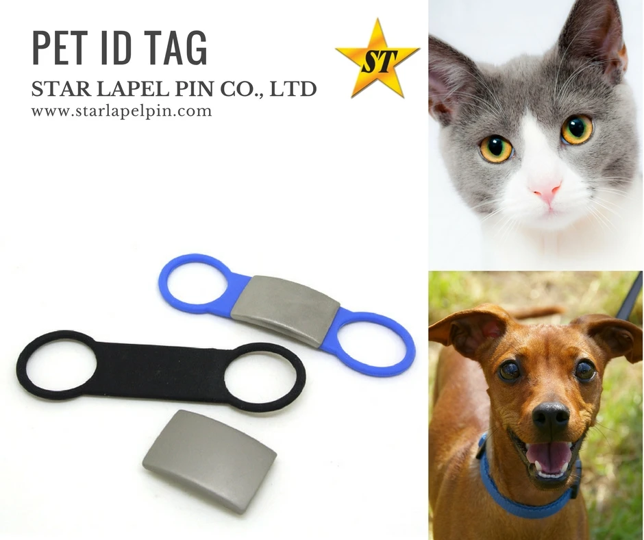 dog walking accessories