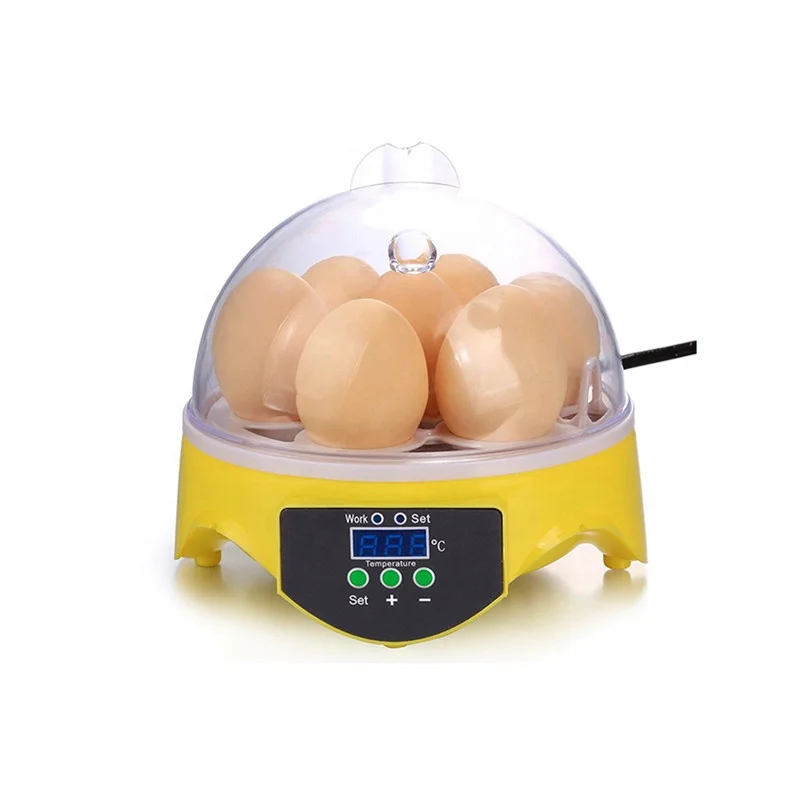 Мини яйца. Мини инкубатор cultura. WQ-96 Automatic Digital Chicken Egg Hatching Machine incubator manualru. Wq96 Automatic Digital Chicken Egg Hatching Machine incubator manual ru. WQ-96 Automatic Digital Chicken Egg Hatching Machine incubator manual Russian.