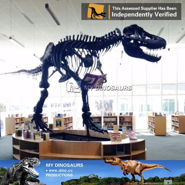 Мой Дино XJ400 Музей качества смолы в натуральную величину динозавр T-rex скелет