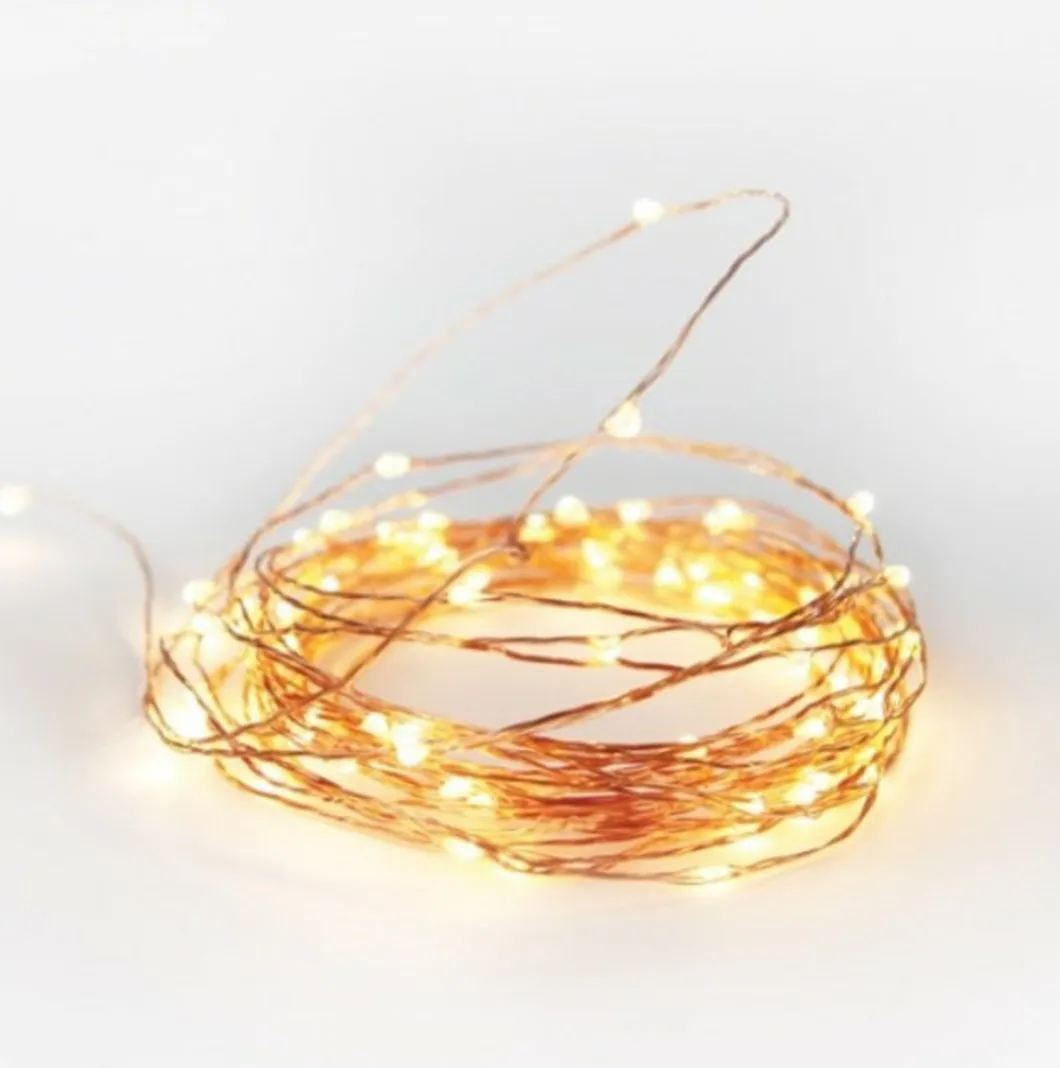 3.2W Made In ningbo China Superior Quality 10M Outdoor Holiday Decoration Led Copper Wire String Light