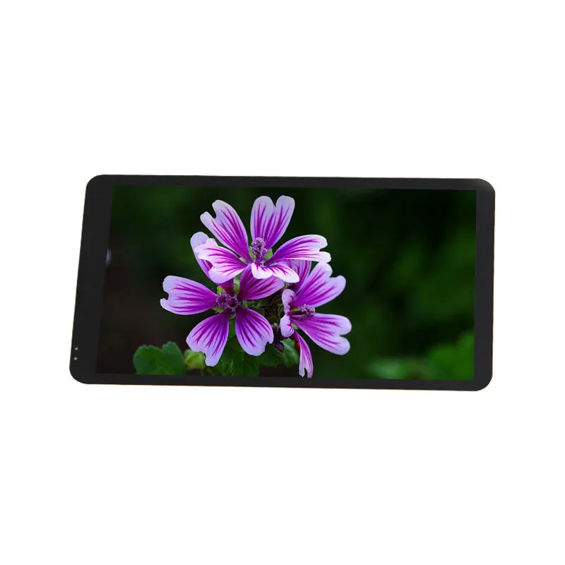 5.5 mobile oled vertical lcd display capacitive touch screen module in micromax