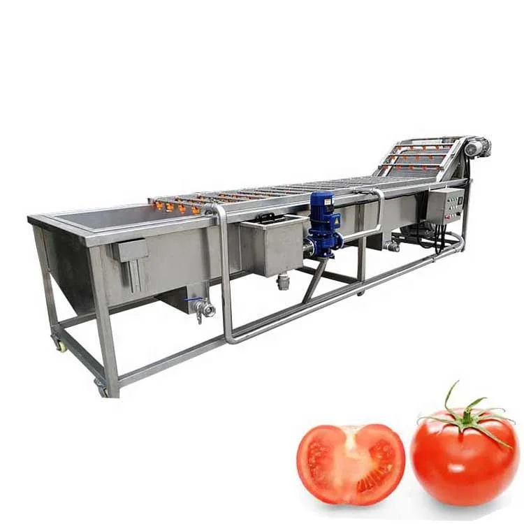 industrial conveyor belt fruit washer