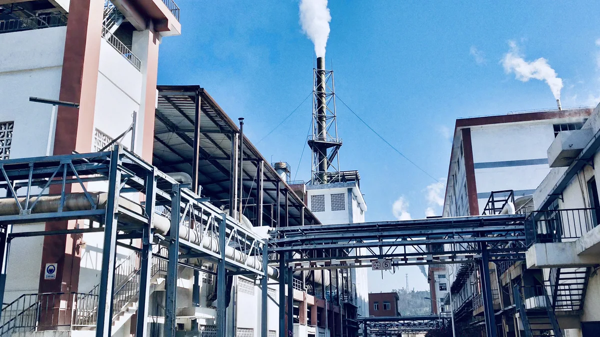 Biotio Shanghai Corp Co., Ltd. 2
