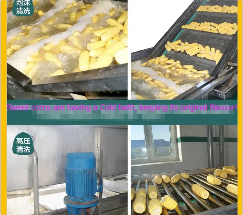 Jilin Province Agricultural Sister-In-Law Food Co., Ltd. 2