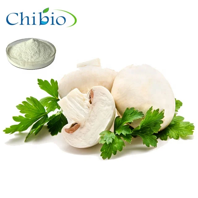 バルク販売のための天然食品グレードのキチンキトサン キノコキトサン Buy キノコキトサン価格用バルク販売 食品グレードキノコキトサン キノコキチン キトサン Product On Alibaba Com