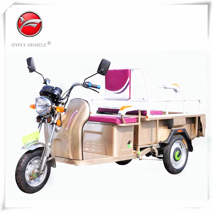 3 Wheel Cargo Electric Scooter