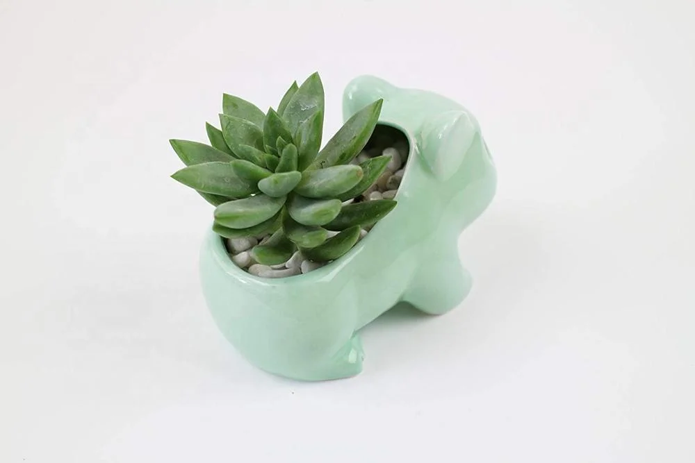 Green Ceramic Flowerpot Glazed Pottery Cheap Small Mini Bulbasaur Flower Pot