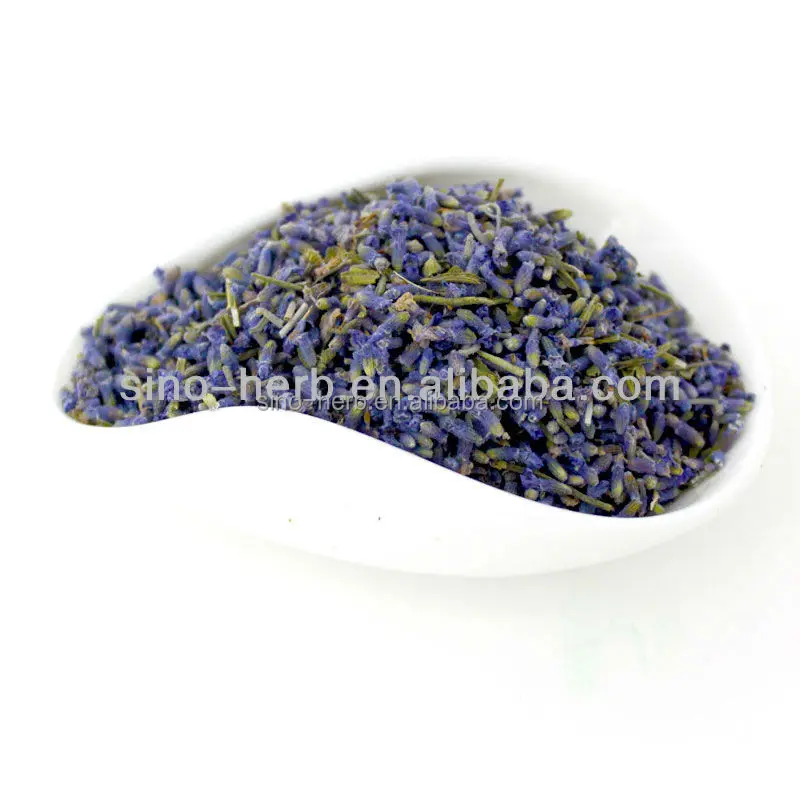 Free Sample Natural Dried Purple Lavender Flower Tea