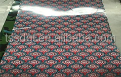 Best Price High Quality PPGI PPGL GI 0.14mm-4.0mm as per customer requirement pre painted galvanized steel coil sheet