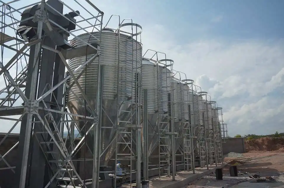 HKB 20 Ton Stainless Steel Chicken Feed Bin & Grain Storage Silo for Poultry Farm with 25-30 Years Service Life