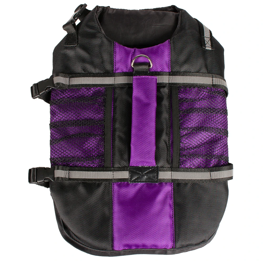 purple dog life vest