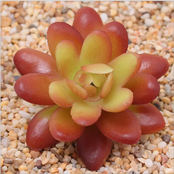 Artificial Succulent Plants Unpotted Assorted Faux Succulent Succulent Picks for Floral Arrangement Home Decoration
