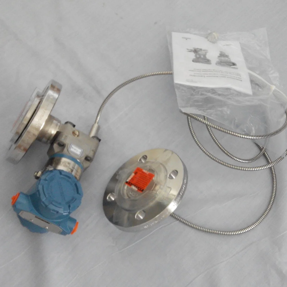 3051 Two Flange Transmitter with 1199 Diaphragm Seal System