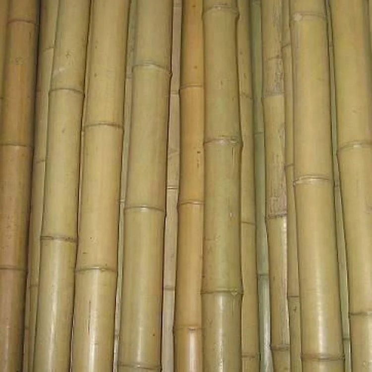 7 bamboo poles
