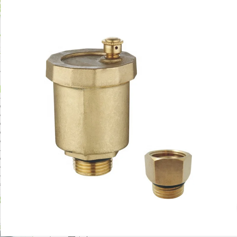 Competitive Price 1/2" BSP Sanitary Forged Air Released Vent Valve