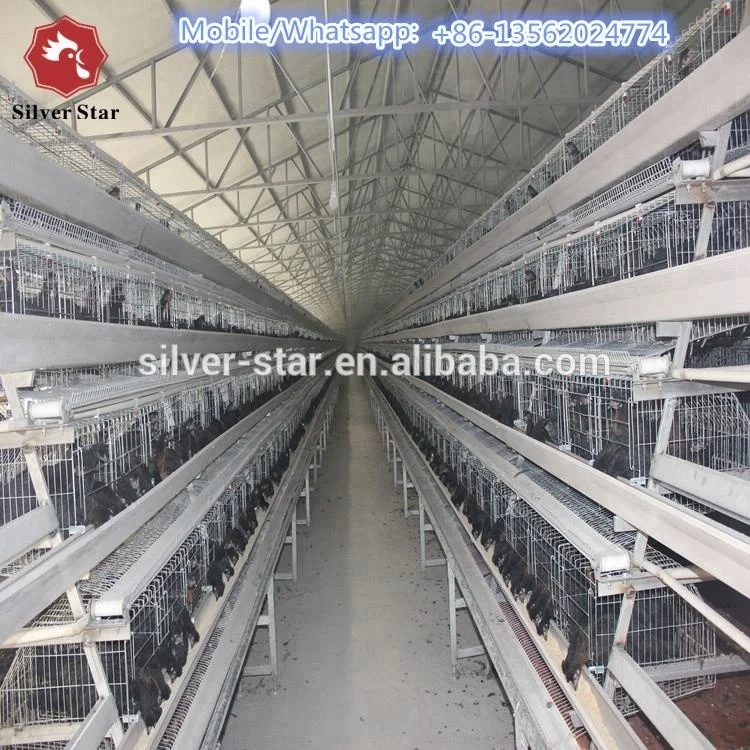 Enriched Colony System Poultry Chicken Cage Laying Hens