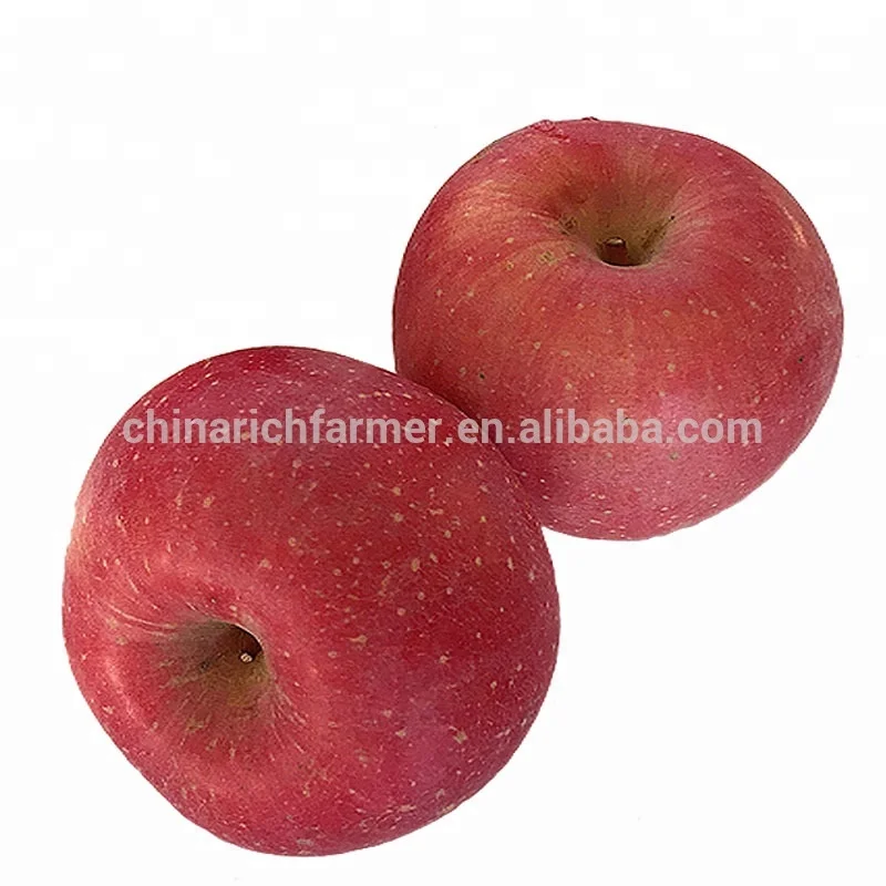 China Fresh Blush Red Fuji Apples Fruit Export to Indian Market