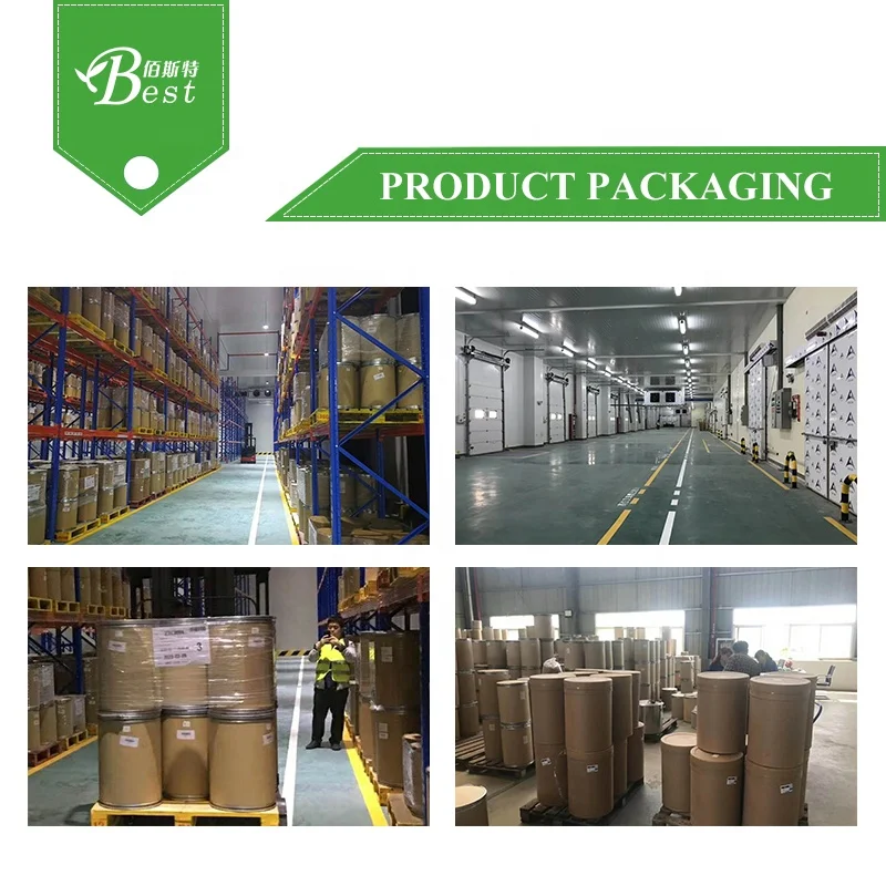 100% Pure Garlic Extract Allicin 5:1 with Wholesale Price