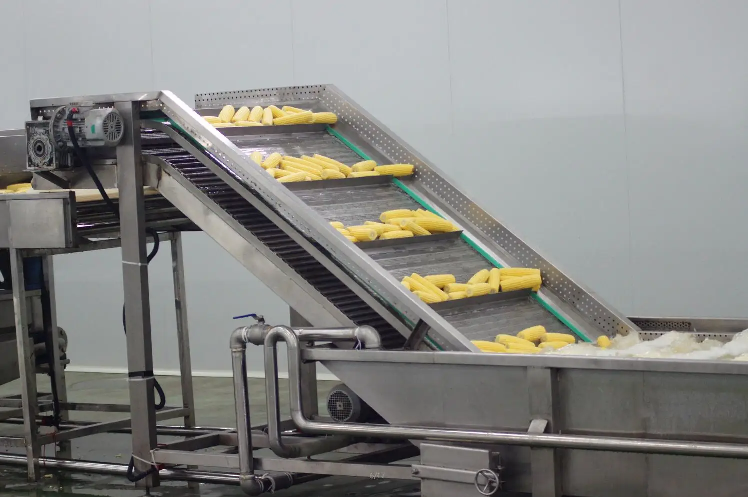 Jilin Province Agricultural Sister-In-Law Food Co., Ltd. 1