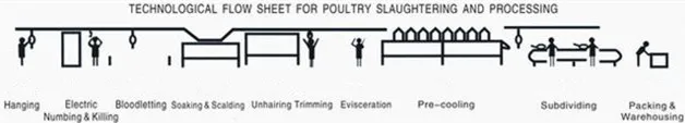 High-efficiency poultry slaughtering line, processing 1,000-3,000 poultry per hour
