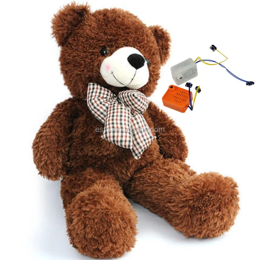 where to get a teddy bear with voice recorder