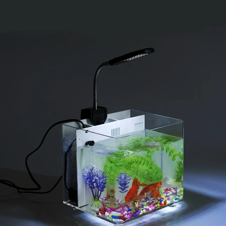 480 Koleksi Contoh Lampu Aquarium Gratis