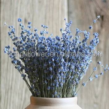 Pacote De Flor De Lavanda Azul Secas,Em Inglês,45-50cm De Haste - Buy Secas  De Lavanda,Lavanda,Talo De Cachos De Lavanda Product on 