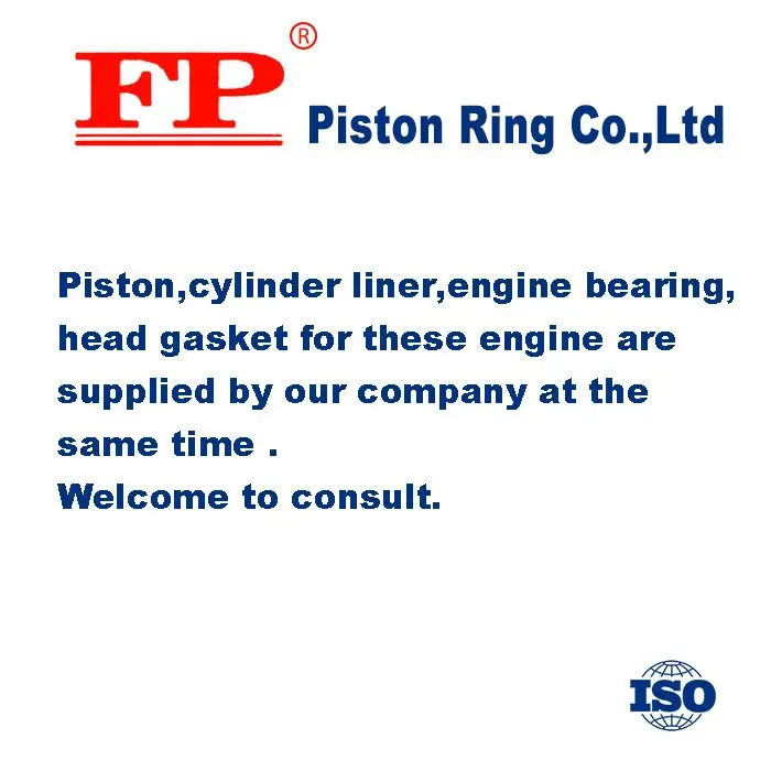 Use for TOYOTA 1DZ 3C-T 2C Piston Ring 13011-78201 13011-64060 13011-64110 28026 799736 799926 (the Factory Direct)