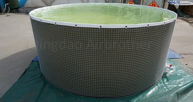 500 Gallon Fish Tank 150 Gallon Fish Tank Aquaculture Tank Tilapia Fish Farming